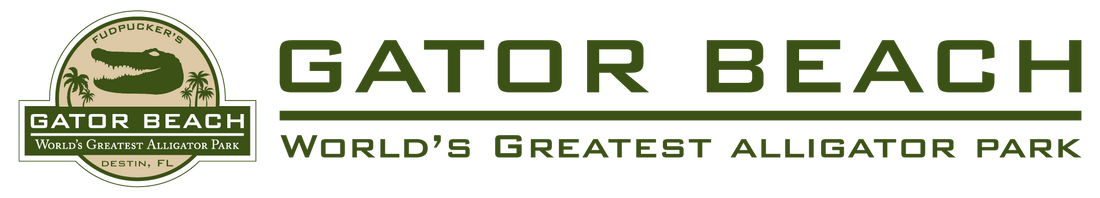 Gator Beach